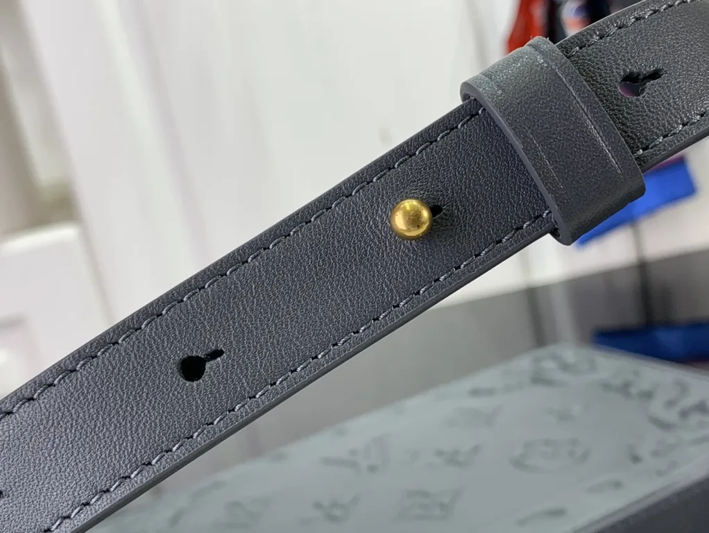 Louis Vuitton bag - LITELUX