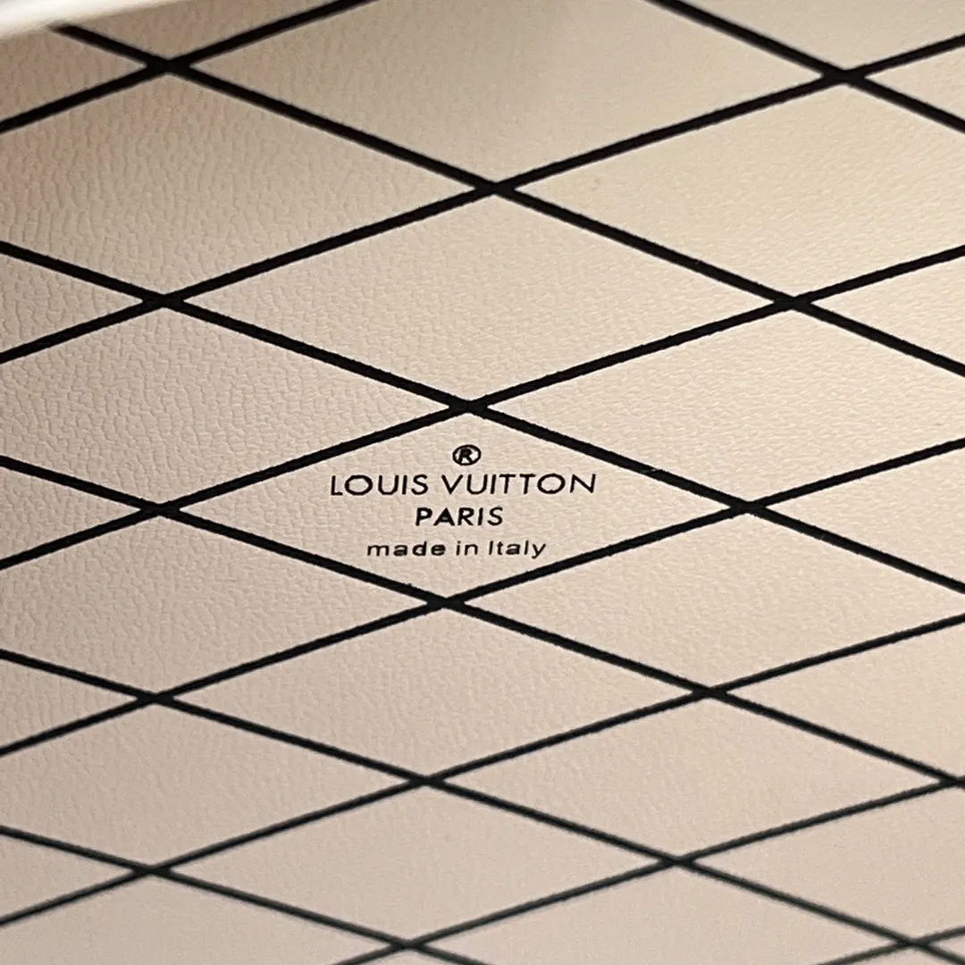Louis Vuitton bag - LITELUX
