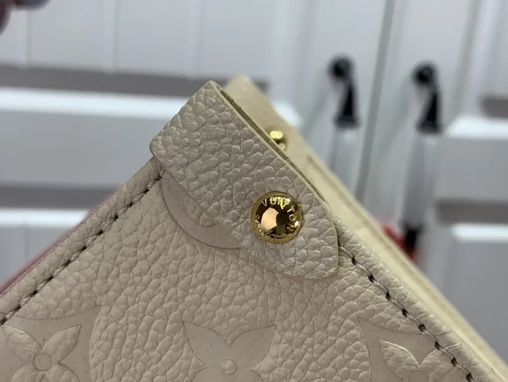 Louis Vuitton bag - LITELUX