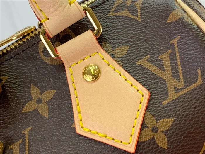 Louis Vuitton Bag - LITELUX