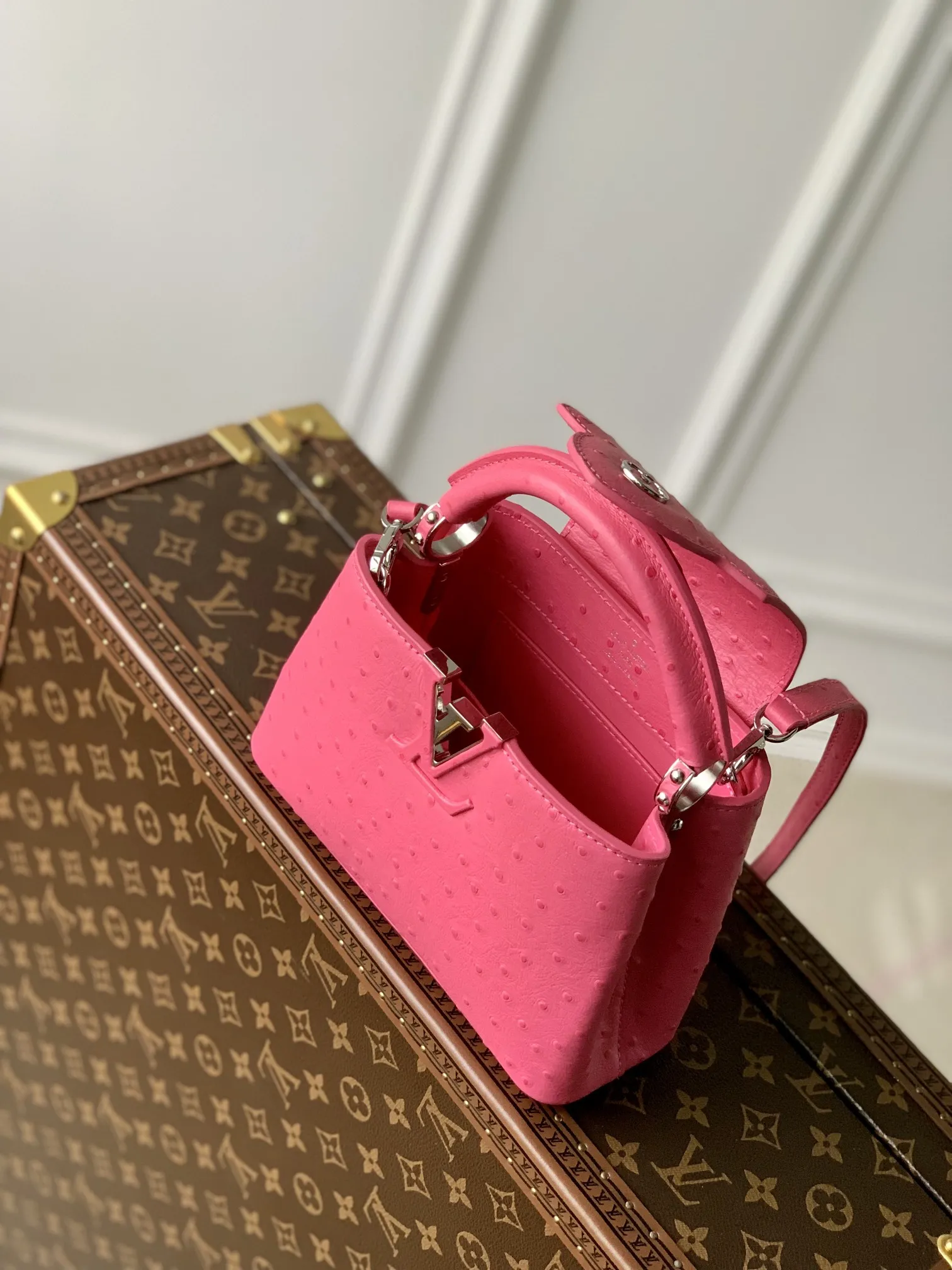Louis Vuitton bag - LITELUX