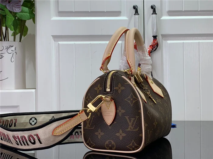 Louis Vuitton Bag - LITELUX
