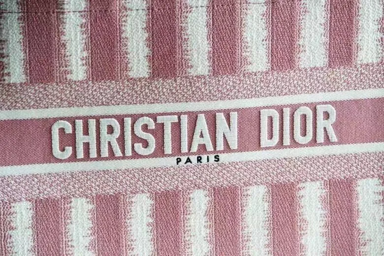 Dior Bag  – 115572781 - LITELUX