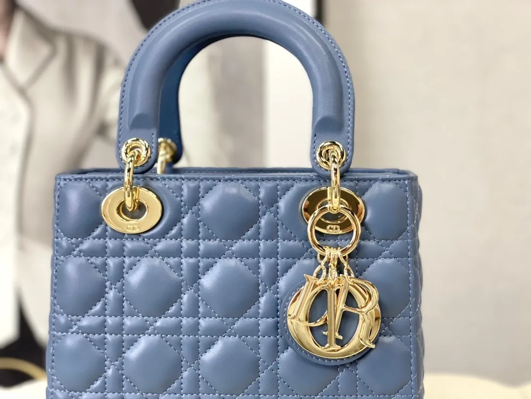 Dior Bag  – 118567245 - LITELUX