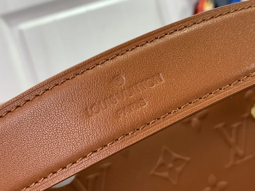 Louis Vuitton bag - LITELUX