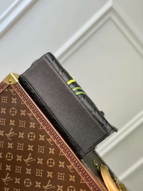 Louis Vuitton bag - LITELUX