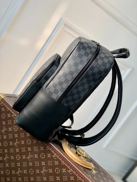 Louis Vuitton bag - LITELUX