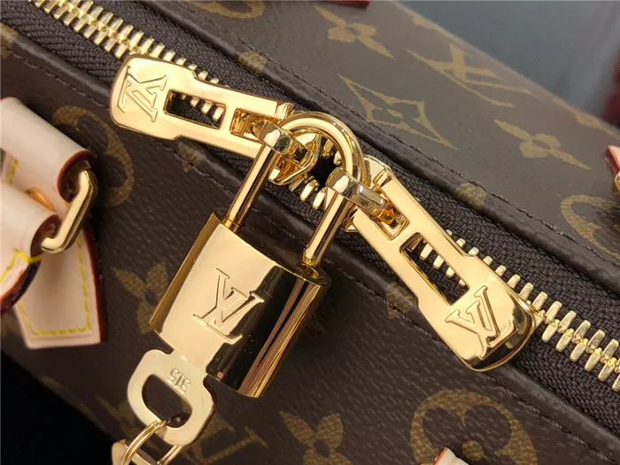 Louis Vuitton Bag - LITELUX