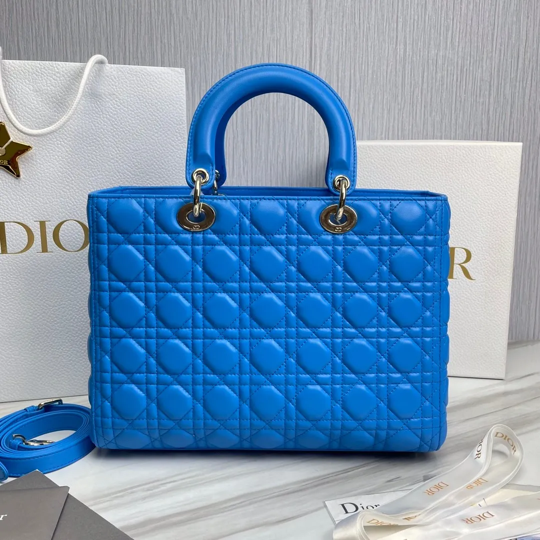 Dior Bag  – 118289176 - LITELUX