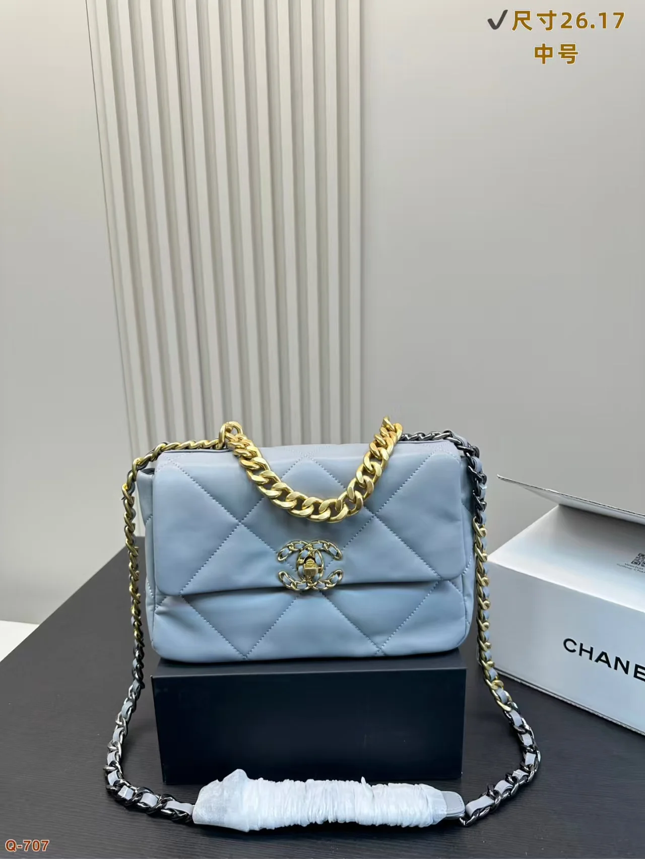 2024 Chanel 19 Woc bag - LITELUX