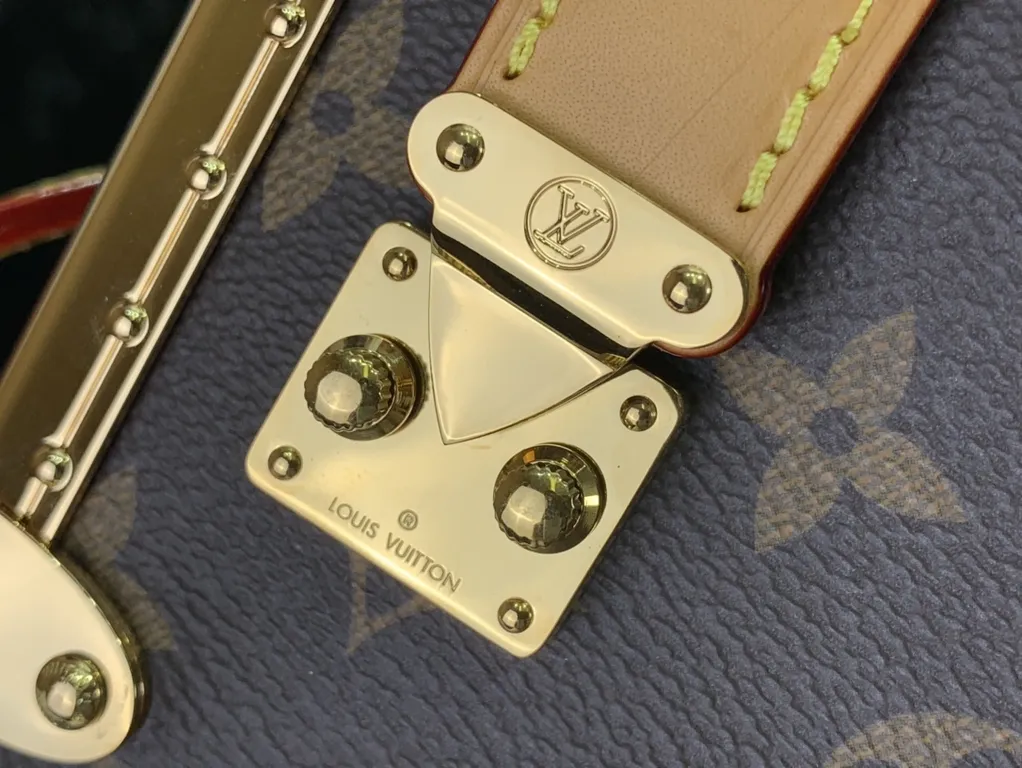 Louis Vuitton bag - LITELUX