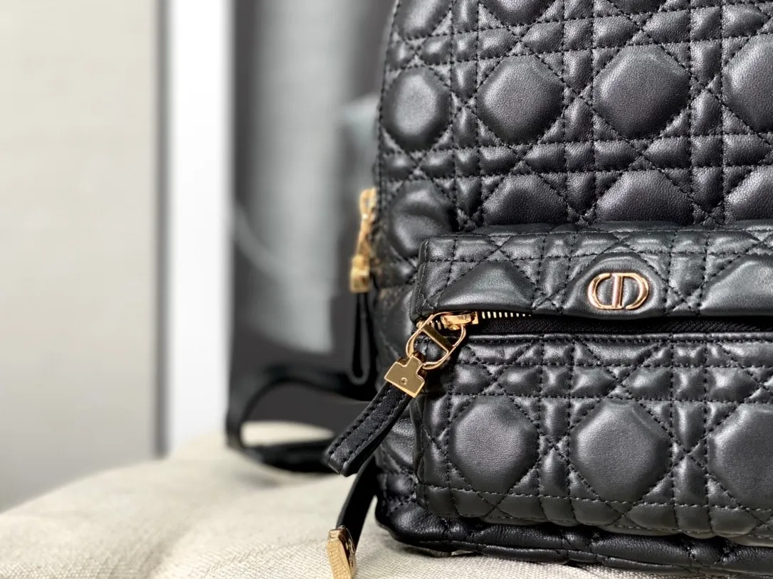 Dior Bag  – 116234150 - LITELUX