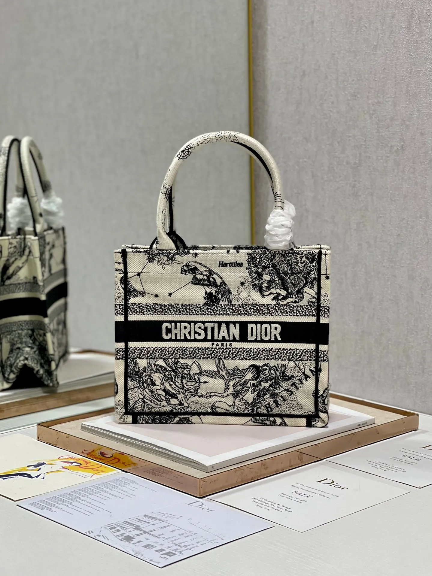 Dior Bag  – 113170438 - LITELUX