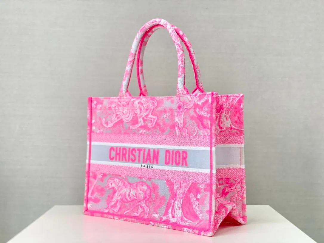 Dior Bag  – 120024935 - LITELUX