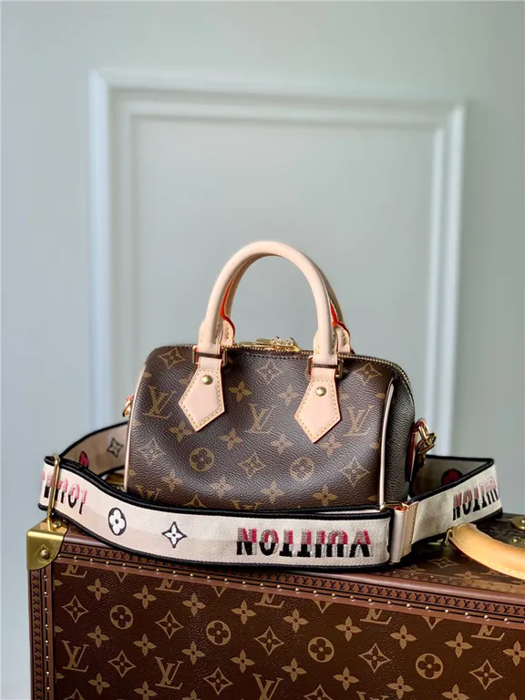 Louis Vuitton Bag - LITELUX