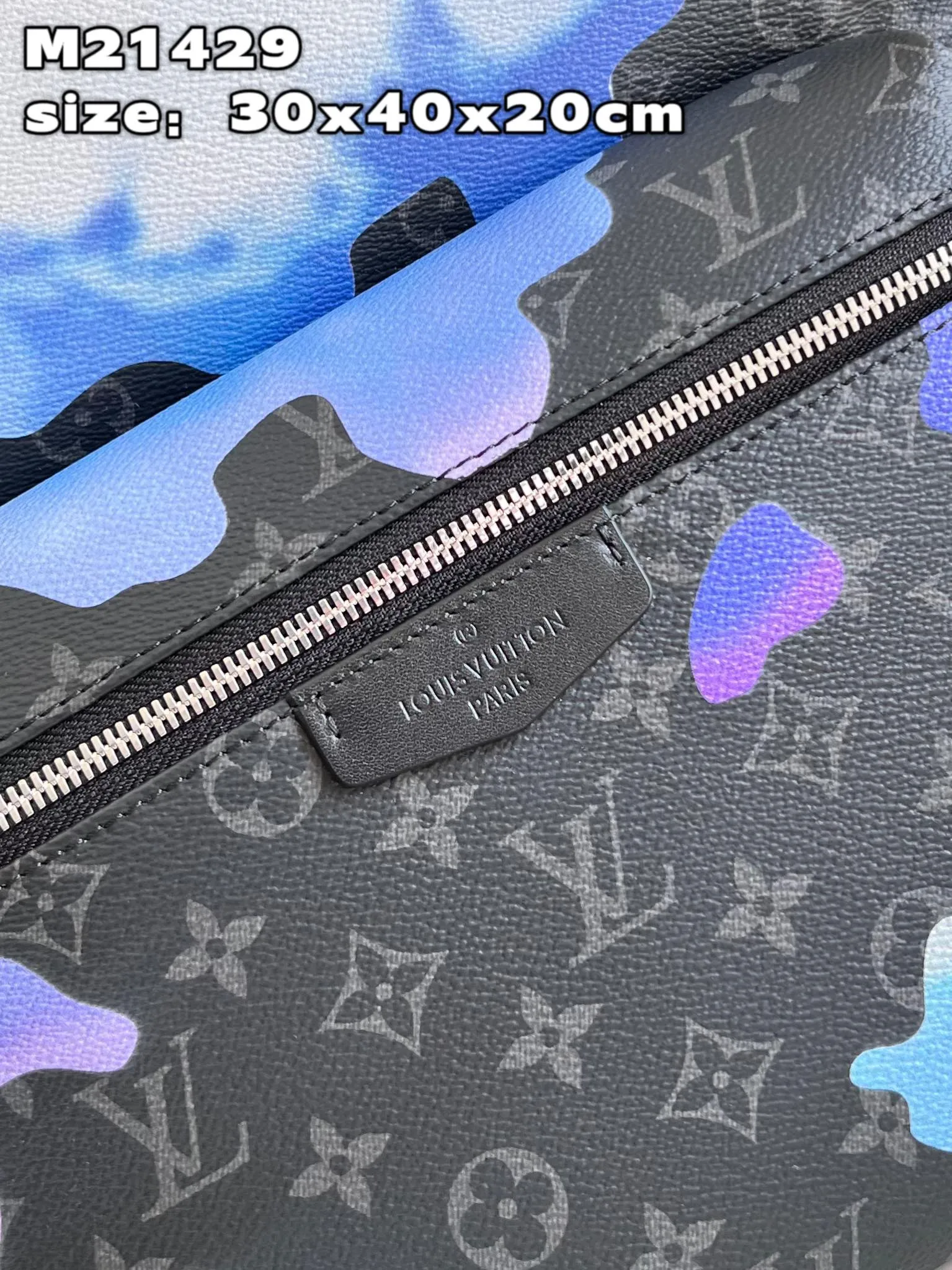 Louis Vuitton bag - LITELUX