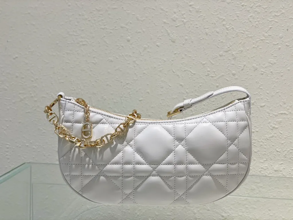 Dior bag - LITELUX