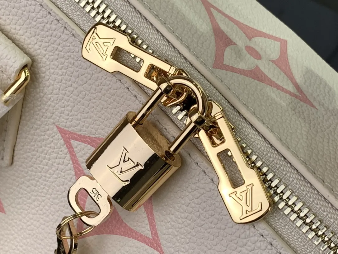 Louis Vuitton bag - LITELUX