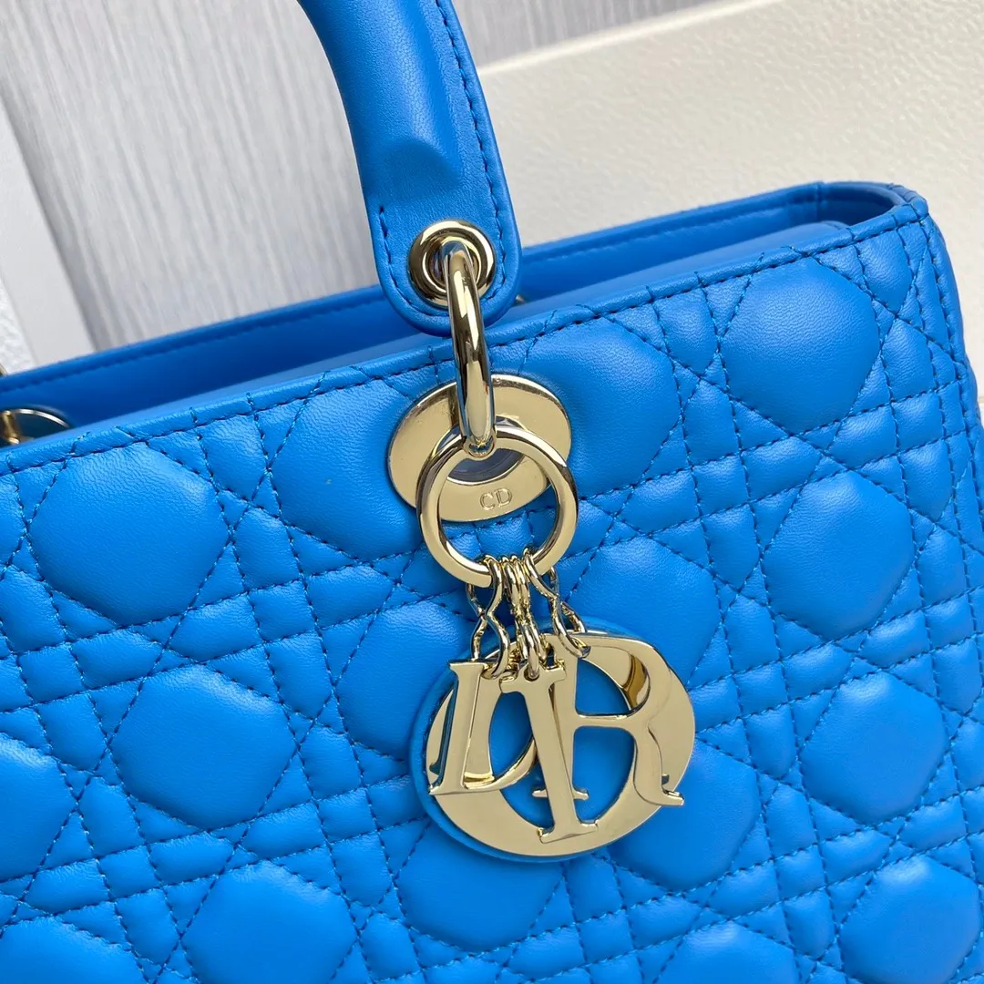 Dior Bag  – 118289176 - LITELUX