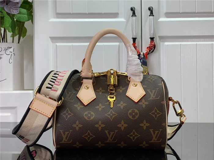 Louis Vuitton Bag - LITELUX