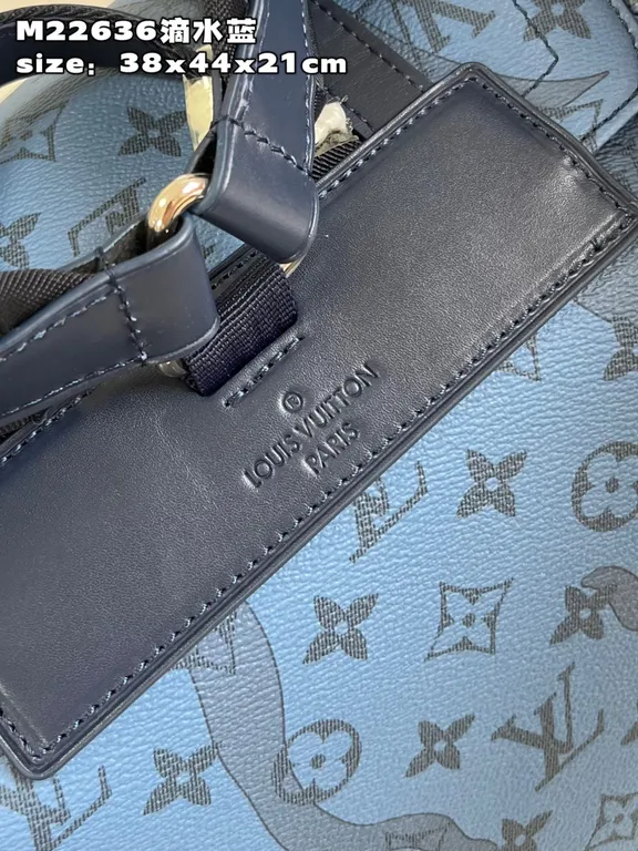 Louis Vuitton bag - LITELUX
