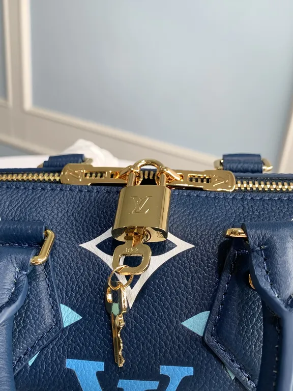 Louis Vuitton bag - LITELUX