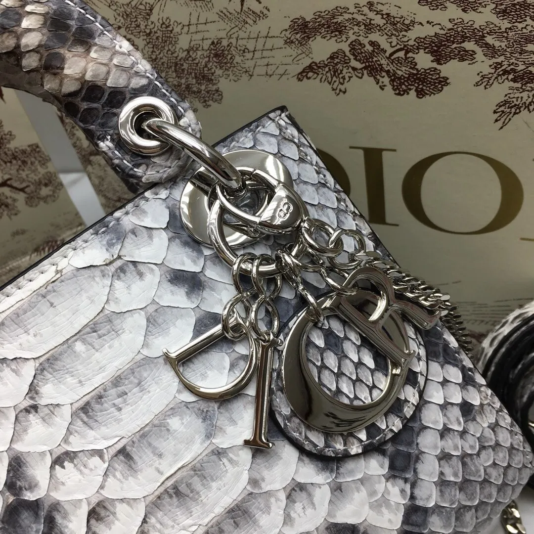 Dior Bag  – 116706112 - LITELUX