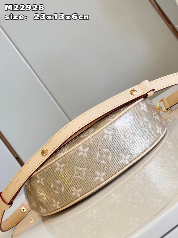 Louis Vuitton bag - LITELUX