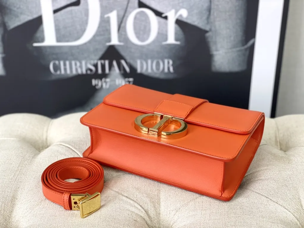 Dior bag - LITELUX