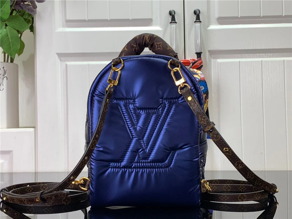 Louis Vuitton Backpack - LITELUX