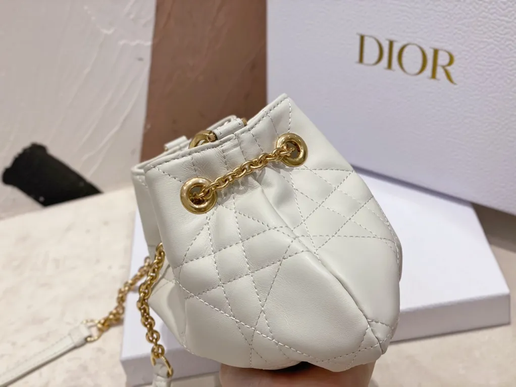 Dior bag - LITELUX