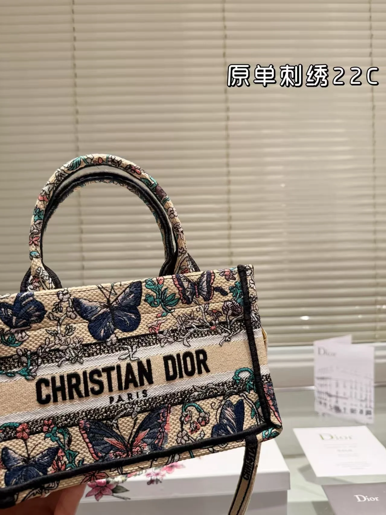 2025 Dior book tote - LITELUX