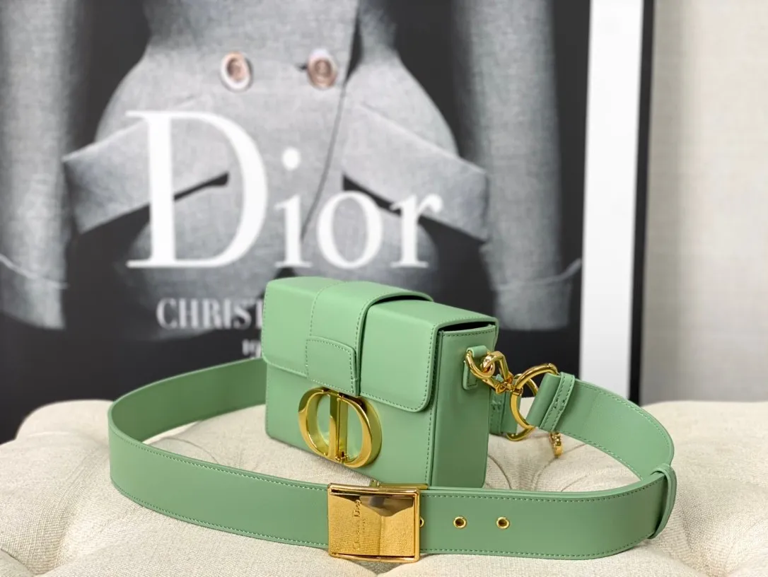 Dior Bag  – 118287733 - LITELUX