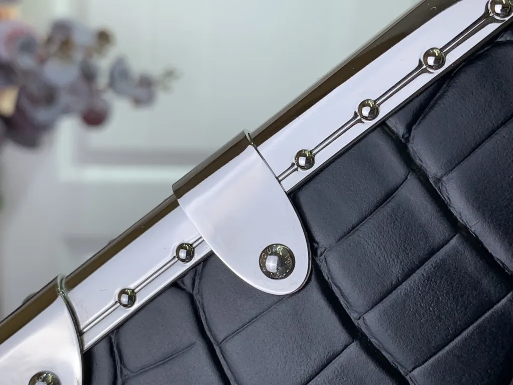 Louis Vuitton bag - LITELUX