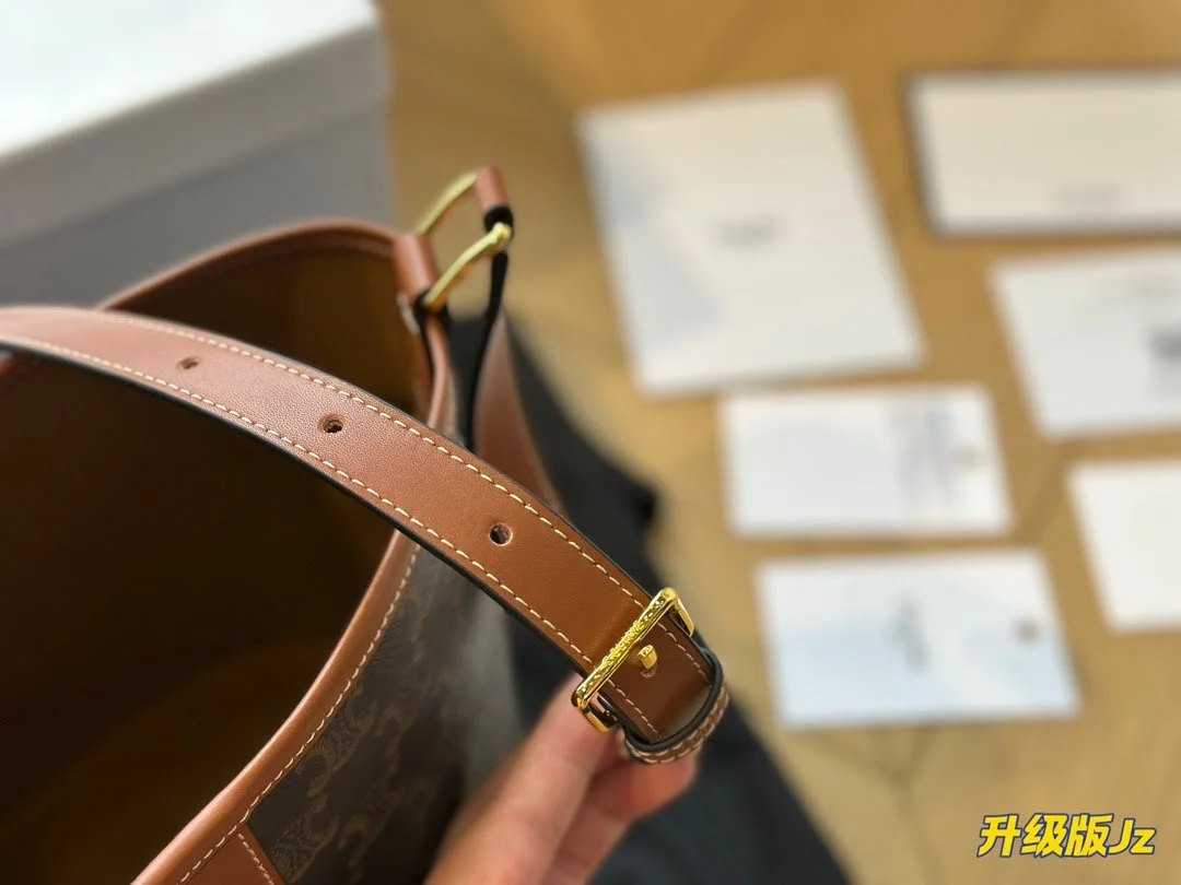 CELINE presbyopia bucket bag - LITELUX