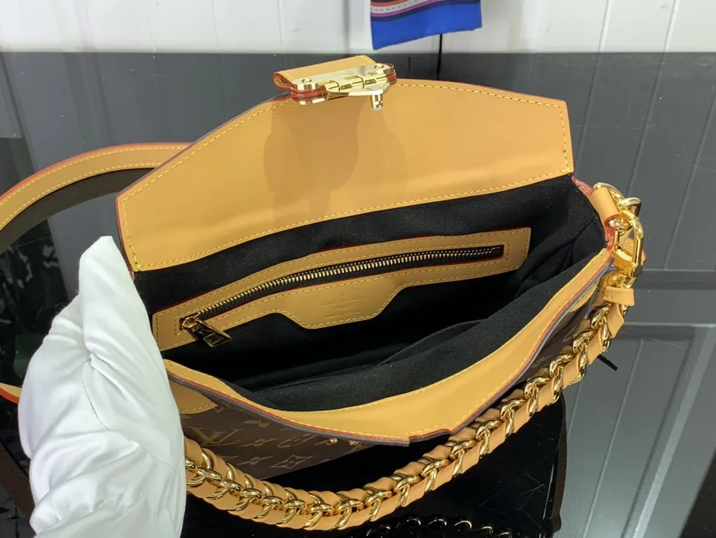 Louis Vuitton bag - LITELUX