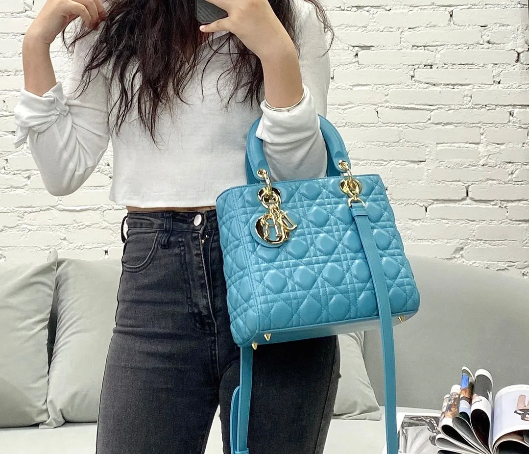 Dior Bag  – 120025003 - LITELUX