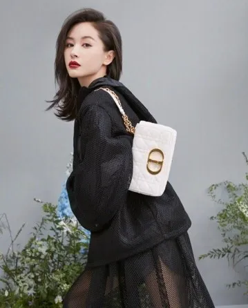 Dior Bag  – 120024733 - LITELUX