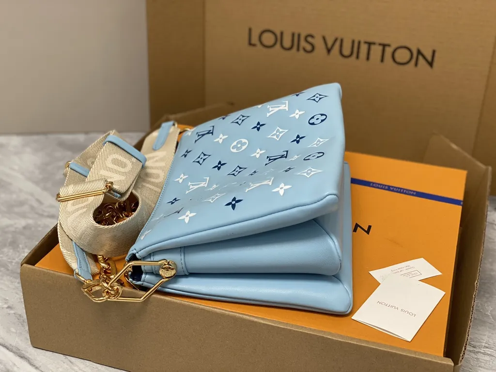 Louis Vuitton bag - LITELUX