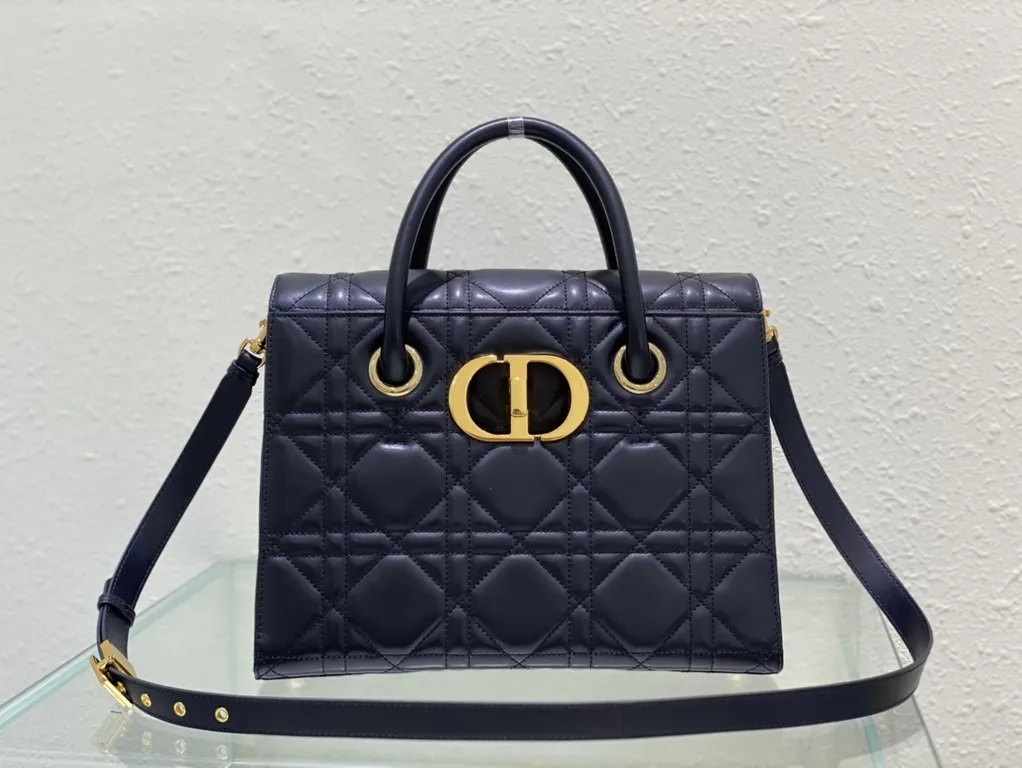 Dior bag - LITELUX