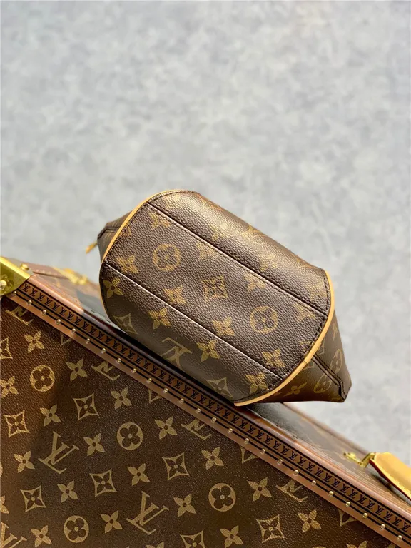 Louis Vuitton Bag - LITELUX
