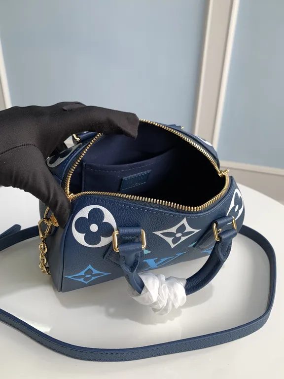 Louis Vuitton bag - LITELUX