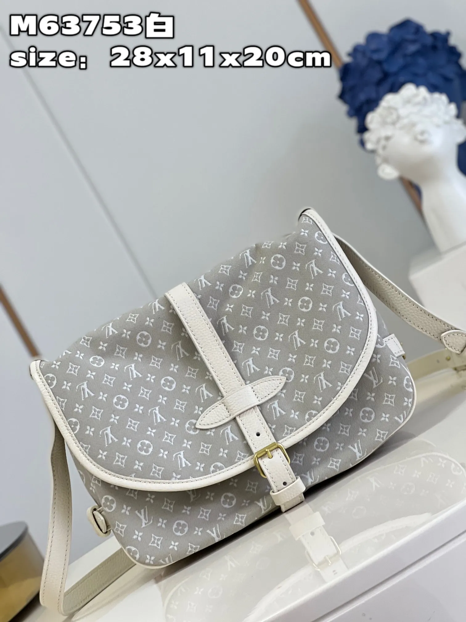 Louis Vuitton bag - LITELUX