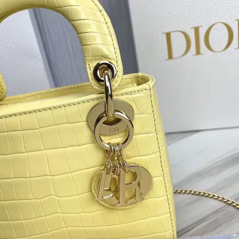 Dior bag - LITELUX