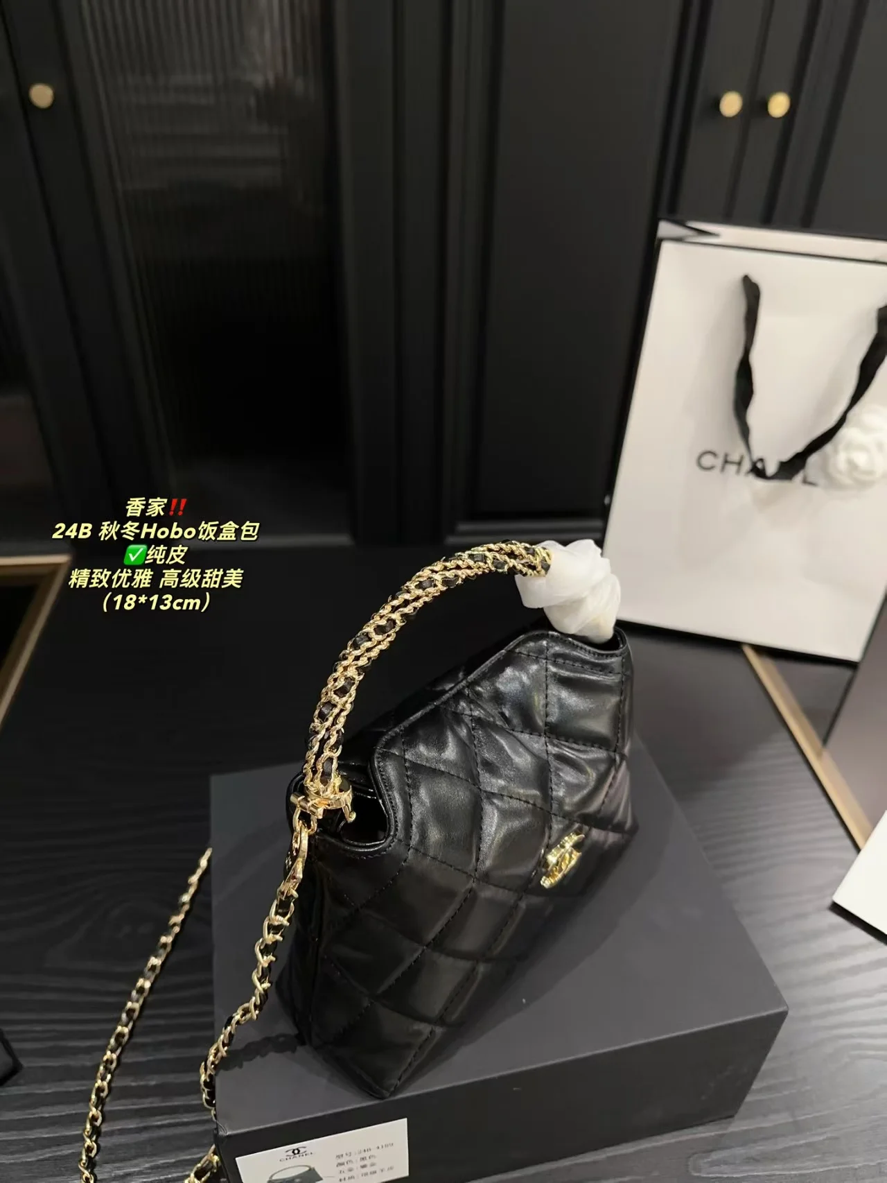 2024 Chanel bag hobo - LITELUX