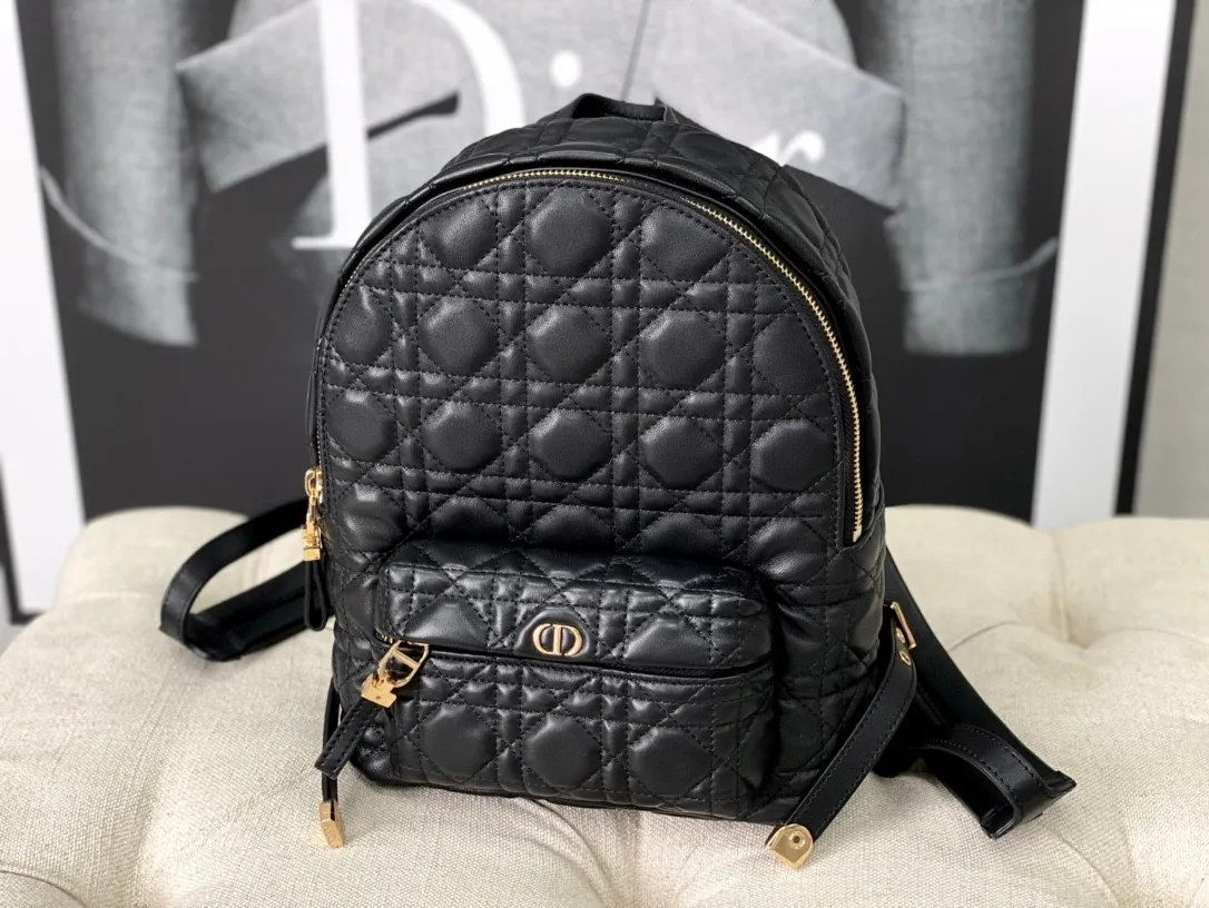 Dior Bag  – 116234150 - LITELUX