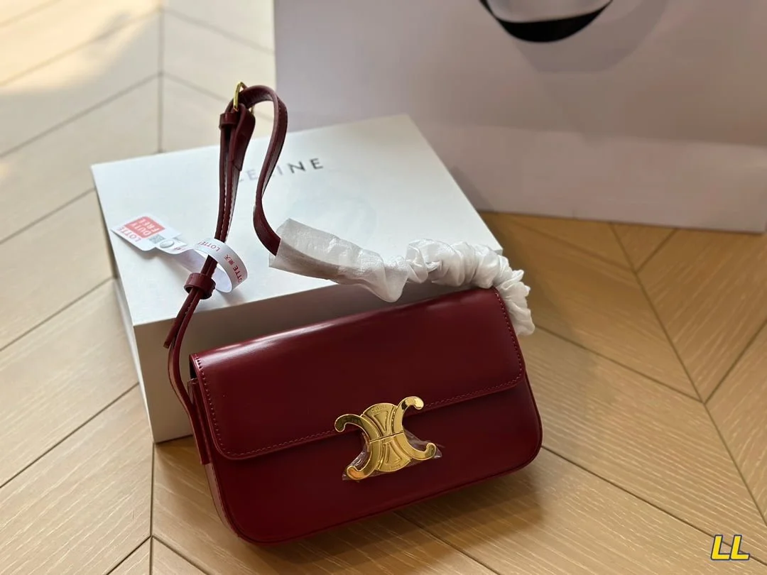 CELINE TRIOMPHE Crossbody bag Black/White/Brown/red  20cm - LITELUX