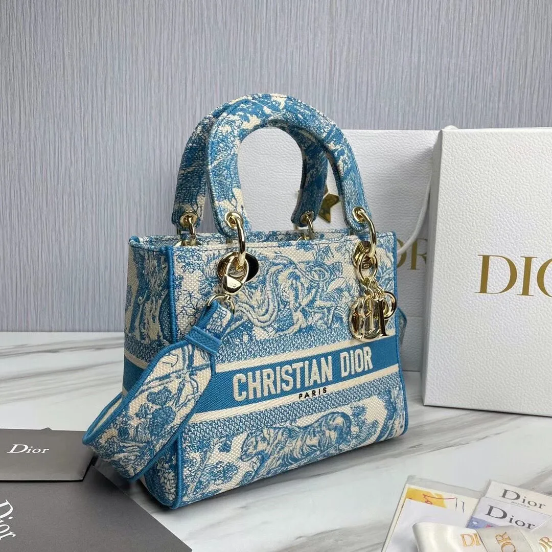 Dior bag - LITELUX