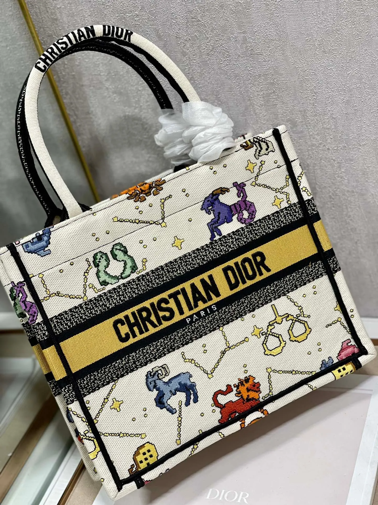 Dior Bag  – 120092300 - LITELUX