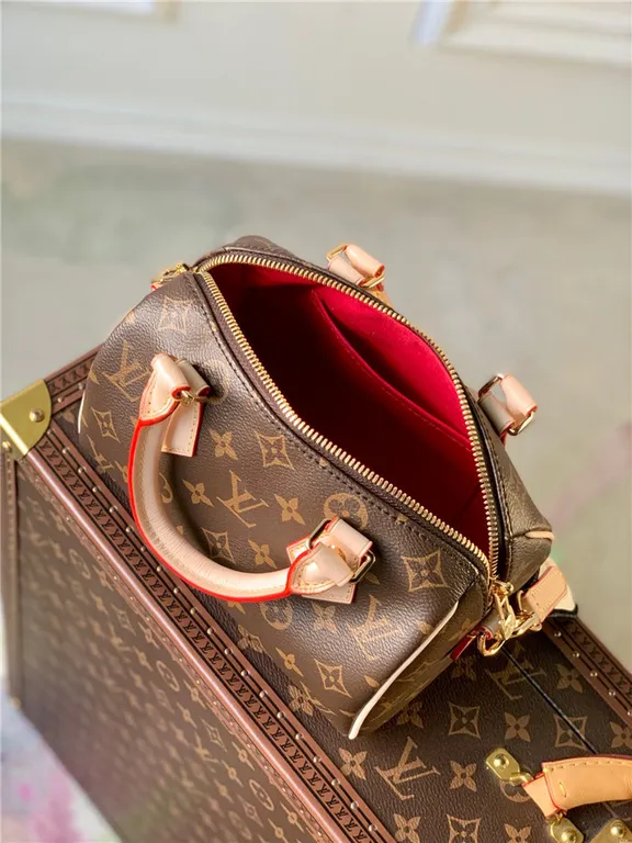 Louis Vuitton Bag - LITELUX